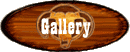 Galerie
